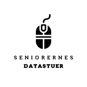 cropped-Seniorernes-datastuer-1-300x300 Datastuen