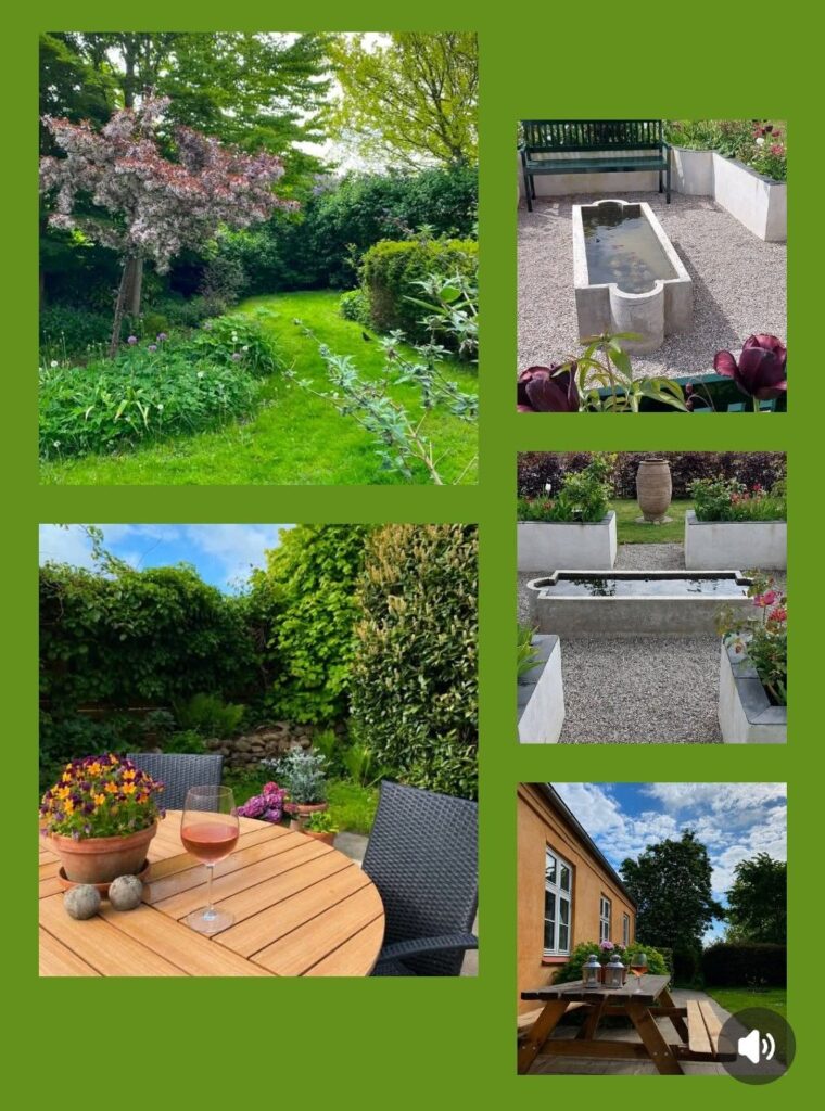 708891838_1515006050412988_7514651550978155212_n-760x1024 Rose- og havevandring